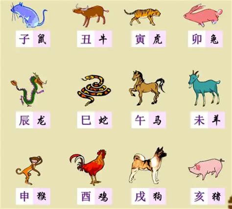 二十生肖|【十二生肖年份】12生肖年齡對照表、今年生肖 